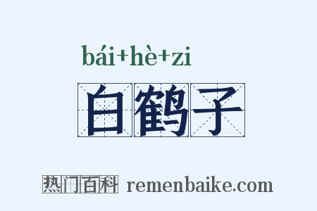 白鹤子是什么意思的图片